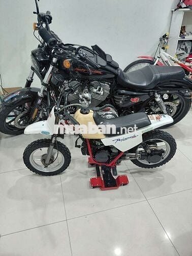 Cào cào yamaha 50cc nội địa nhật