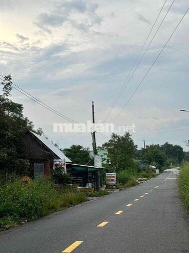 BÁN ĐẤT MẶT TIỀN SỔ HỒNG RIÊNG P TÂN ĐỊNH