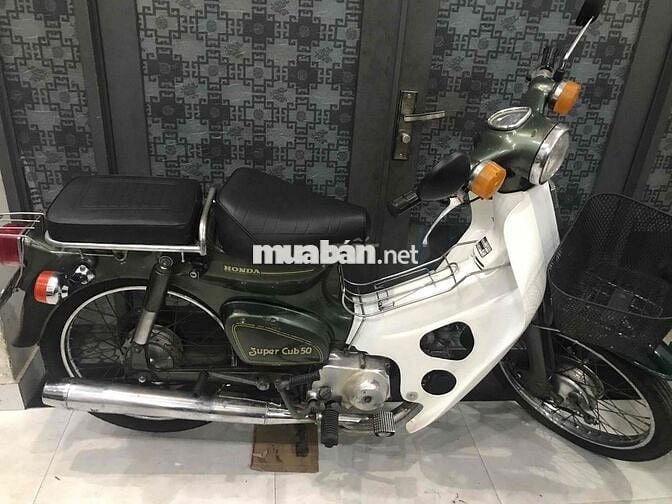Honda  Cup 81/50 cc