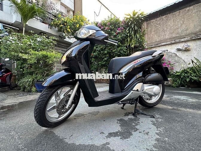 Sh 150 nhập ý