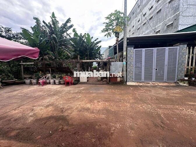 ĐẤT YMOAN RẺ TRÁI PHƯỜNG BMT
⏩️⏩️