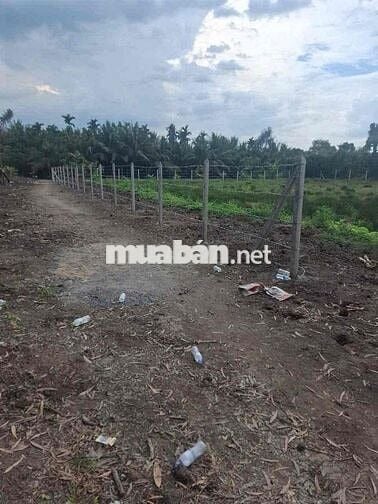Bán lô đất vườn nằm khu dân cư mặt tiền kênh bà đội Bình Mỹ