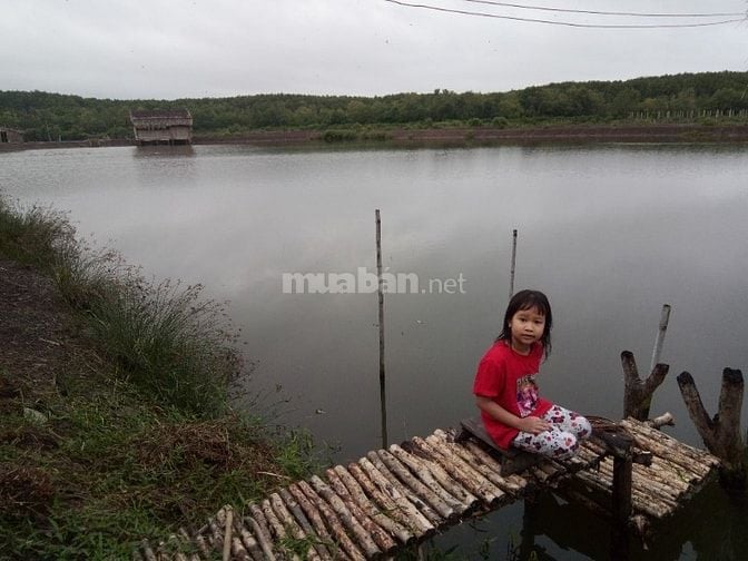 Bán đất Mặt tiền đường Lý Nhơn 