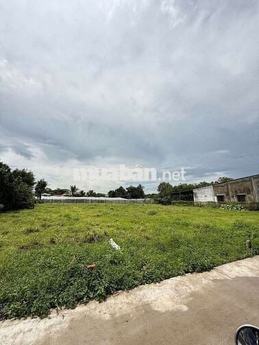 🌟 BÁN NHANH LÔ ĐẤT SỔ RIÊNG FULL THỔ CƯ – VỊ TRÍ VÀNG XUÂN PHÚ,ĐN🌟