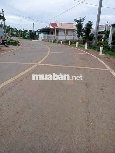 Đất sổ Hồng 1000.4 m2, Xuân Phú, Đồng Nai (Giá thương lượng)