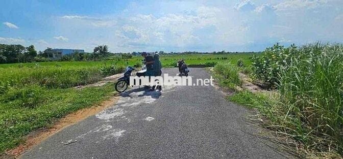 Đất sổ đỏ 115m2 xã Tân Lân, Cần Đước/ Nhận Ký gửi nhà đất Tân Lân