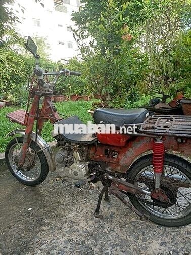 Md chở hàng 100cc
