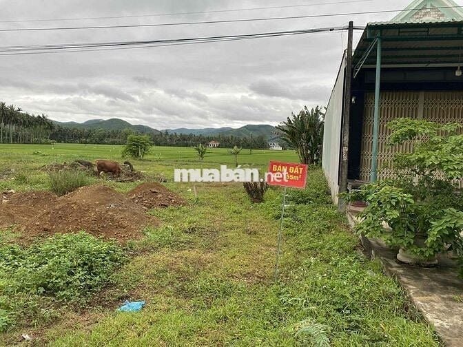 Hạ giá bán nhanh đất thổ cư 155m2, giá 970 triệu, tại Hoài Ân