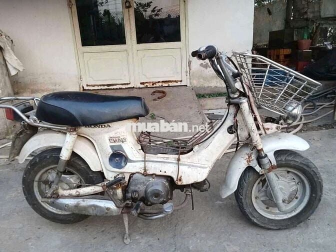 Honda Chaly Nhật 50cc Học Sinh Đi Học Ko Bằng Lái