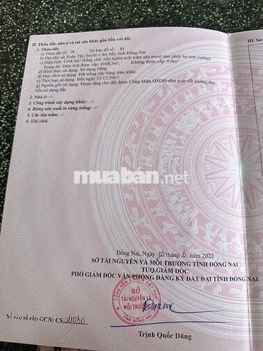 Đất nền ở huyện Cẩm Mỹ xã Xuân tây