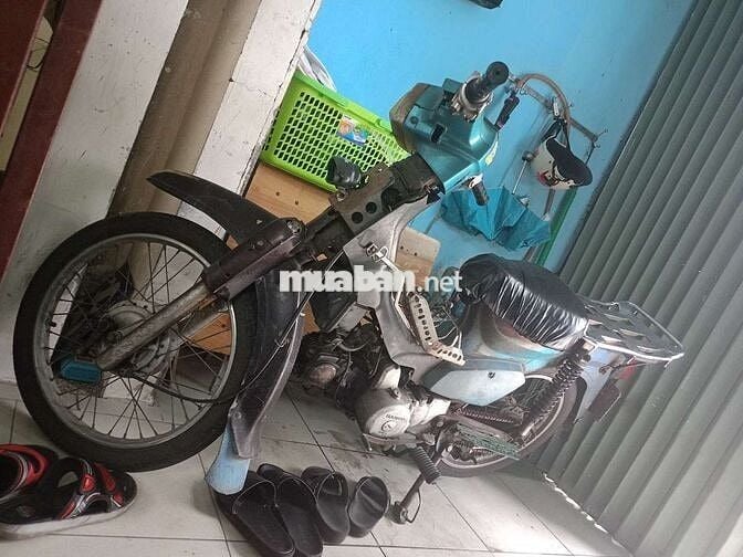 Cúp 50 có đề