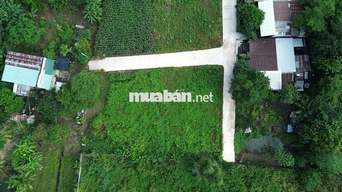 Thanh toán 260 triệu sỡ hữu ngay lô đất Tại SÔNG THAO