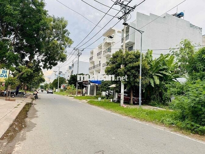 Bán đất đường Tân Liêm, xã Bình Hưng, TP.HCM_1.100m2_40tr/m2