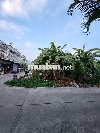 Bán gấp lô đất 137m2 thổ cư, Xuân Thới Thượng, Hóc Môn, giá 3,45 tỷ