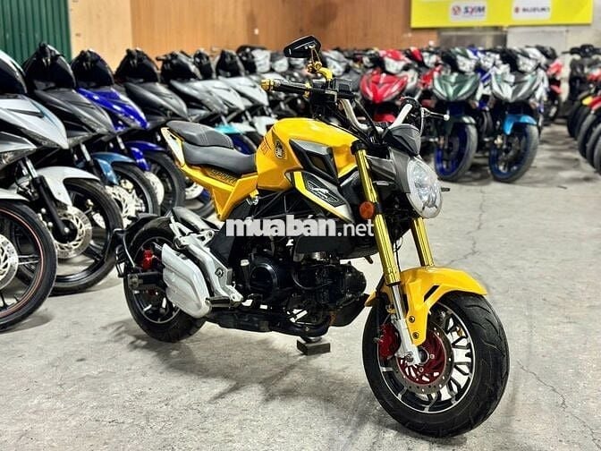 XE MÁYTHANH TÙNG_AGUSTA 110 VÀNG ĐEN CÔN TAY MINI