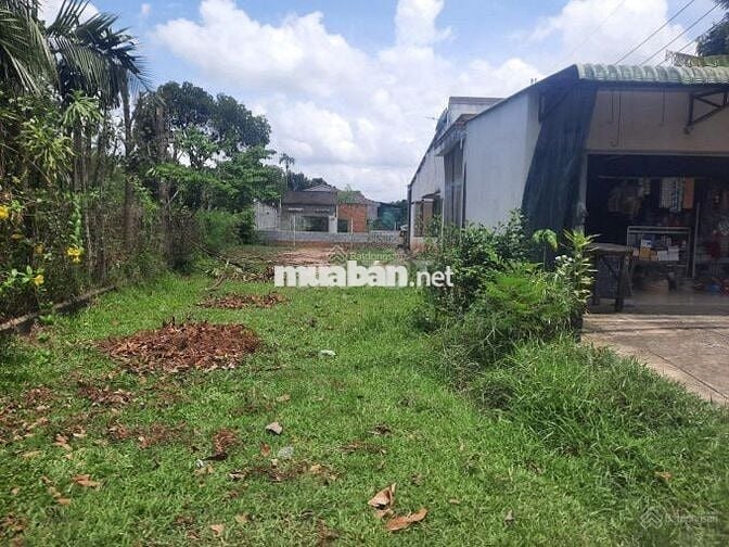 Đất thổ cư 135m2 nằm trên đường Chu Văn An thị trấn Cần Đước, sổ sẵn