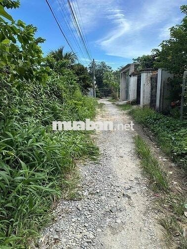 Bán lô đất cực rẻ còn thương lượng 5c25 có 95m thổ cư