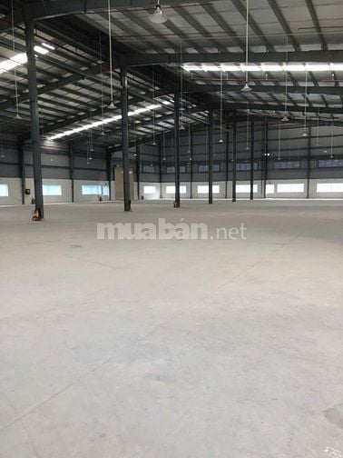 Cho thuê kho xưởng 8.500m2, KCN Tân Đô,Tân Đức,Hải Sơn,Đức Hòa,Long An