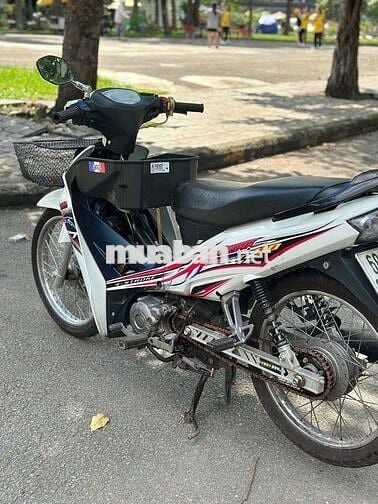 Sirius 2024, xe kiểng, máy độ trái lớn
