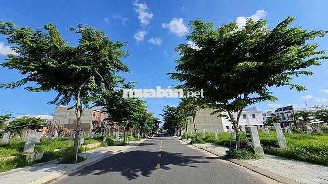 BÁN ĐẤT NỀN FULL THỔ CƯ - ĐƯỜNG TRẦN ĐẠI NGHĨA, BÌNH DƯƠNG 🌿