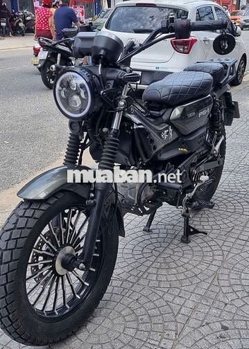 🍎Yamaha PG-01 Mẫu mới 2024