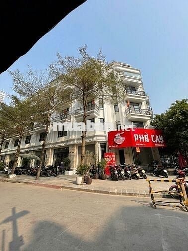 LK 107 XUÂN LA - TÂY HỒ, 100m2 x 6T, MT:5m. Thang máy, Chia phòng.