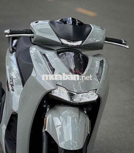 Sh 350 From mới 2025 Xám Xi Măng like new