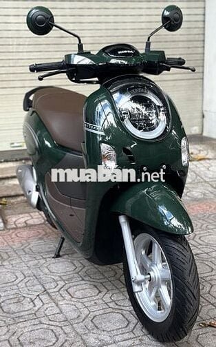 Scoopy 2025