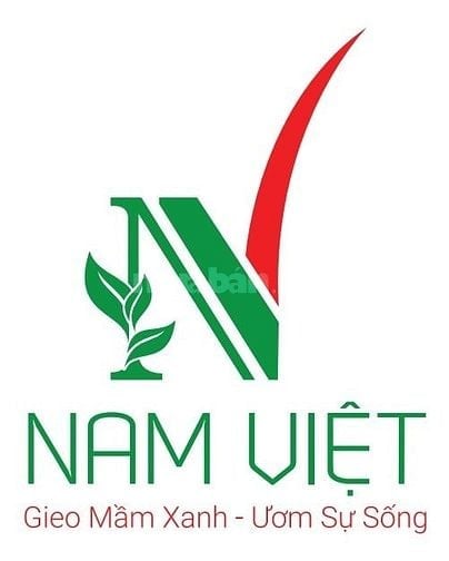 TUYỂN DỤNG KẾ TOÁN NỘI BỘ LÀM VIỆC TẠI NHƠN TRẠCH