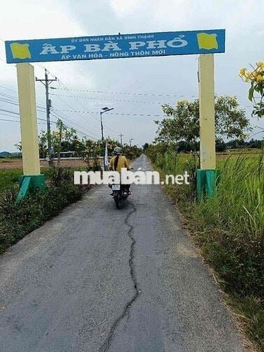 BÁN ĐẤT THỔ CƯ ÁP BÀ PHỔ XÃ BÌNH THẠNH, THỦ THỪA, LONG AN (TÂY NINH)