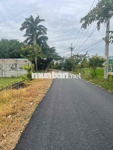 🏡 BÁN ĐẤT MẶT TIỀN ĐƯỜNG 669 – GẦN QUỐC LỘ 22