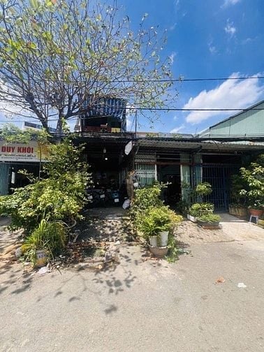 Cầu Phước Lộc, Cấp 4, DT 5,6x25m