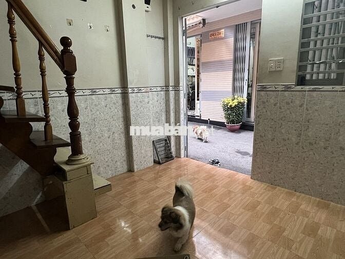 Phòng trọ nguyên căn riêng biệt 1 trệt 1 lầu có ban công
