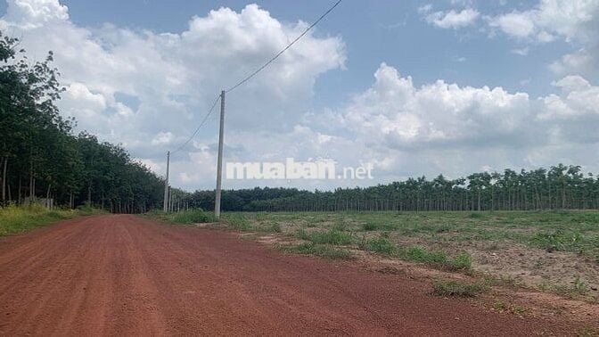 ĐẤT NGAY KHU ĐÔ THỊ MỚI CHƠN THÀNH, GẦN TRUNG TÂM HÀNH CHÍNH