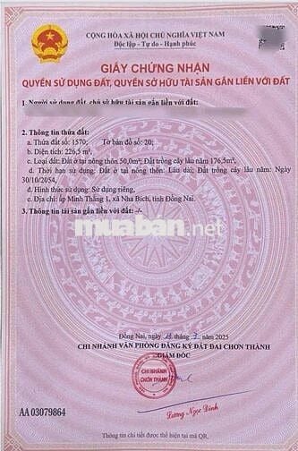 GĐ em cần tiền bán gấp lô đất ở TT chơn thành 226m2