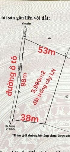 3,900m2, cây L năm đường XH, cách MT Lý Nhơn 100m, An T Đông,CG. 