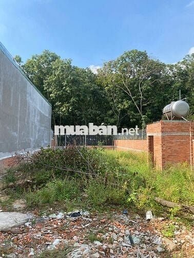 (HCM mới) Đất CLN+ ODT 540M2 Có sẵn căn nhà c4 cũ-p. Tân Khánh- HCM