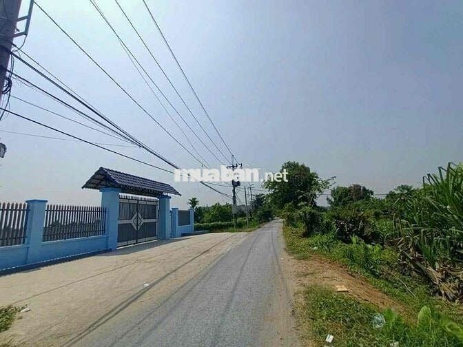 Bán đất Bình Mỹ củ chi thành phố Hồ Chí Minh mặt tiền kênh cây xanh