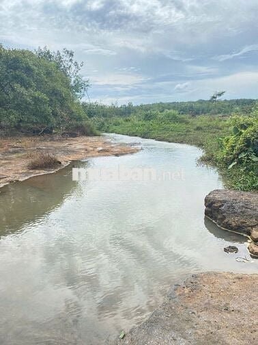 bán đất nông trại resrost nghỉ dưỡng