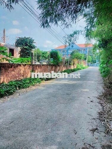 Đất Thủ Dầu Một Bình Dương. Ngay trường học Trần Bình Trọng.