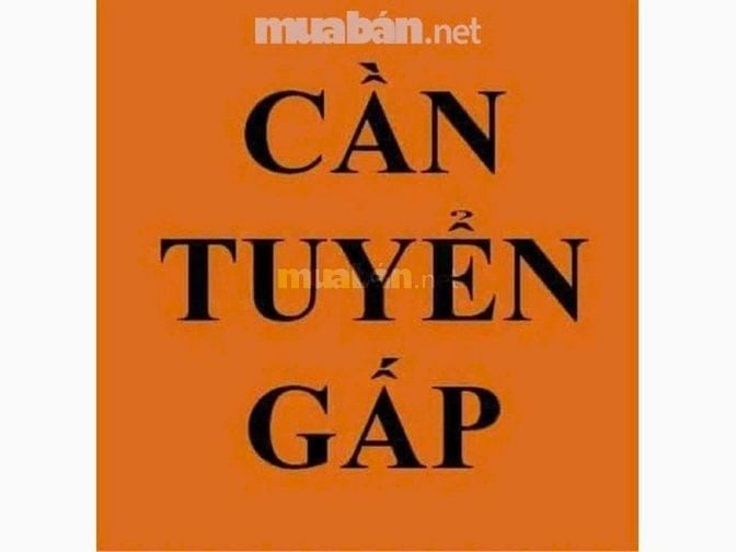 🍓SIÊU THỊ MI NI CẦN TUYỂN NHÂN VIÊN THU NGÂN 