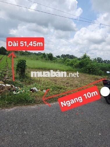 Đất sổ đỏ 514,1 m2. Phước Thạnh, Gò Dầu, Tây Ninh