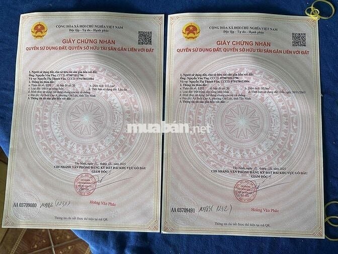 Dất Gò Dầu Tây Ninh 10x36 300Tc giá 790