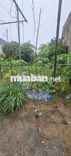 ❤️🔥Đất đẹp 136m2 Xóm Đình, Đông Xuân – Giá Tốt, Ô Tô đậu cửa