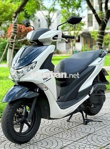 Freego 2019 đèn led. abs biển 43