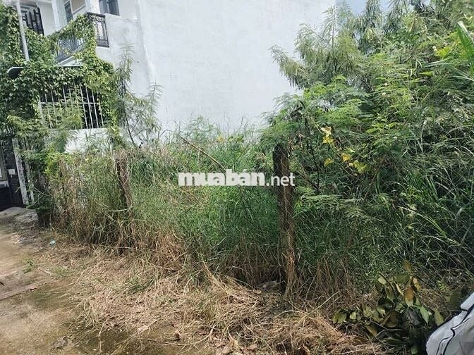 BÁN ĐẤT THỔ CƯ – PHƯỚC HẬU, CẦN GIUỘC, LONG AN - 207M2  - GIÁ 2.5 TỶ.