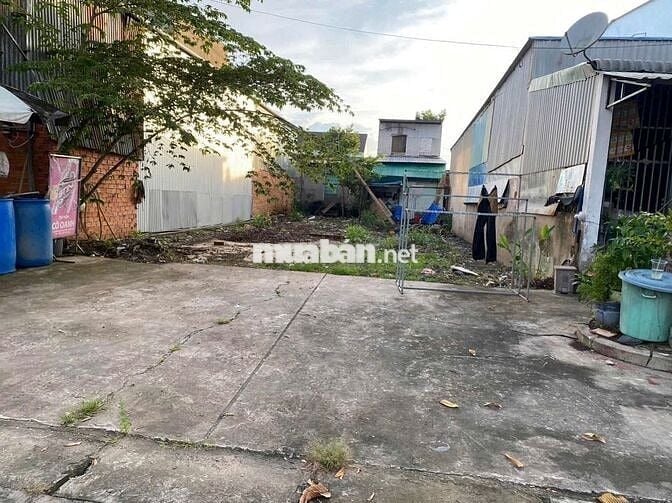 Bán nền chợ Mỹ Hòa Bình Minh, Vĩnh Long