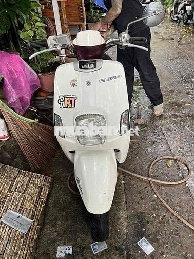 cuxi bstp ngay chủ
