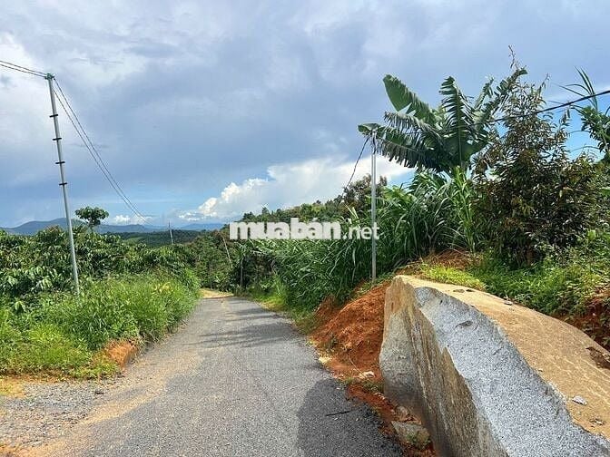 🌳 CẦN BÁN ĐẤT LỘC ĐỨC – BẢO LỘC, LÂM ĐỒNG 🌳