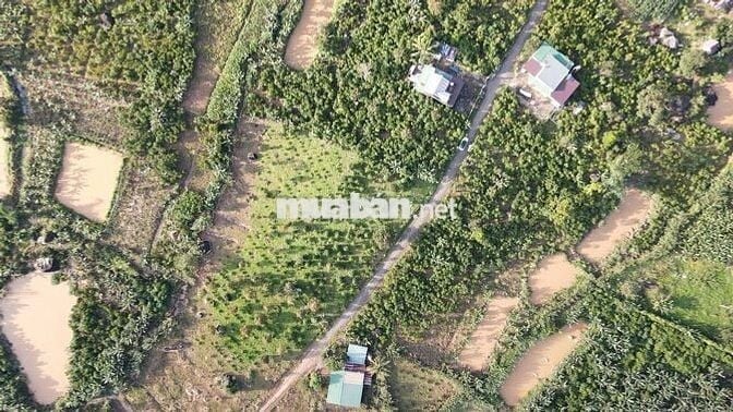 CẦN BÁN ĐẤT LỘC ĐỨC, TP. Bảo Lộc – Lâm Đồng